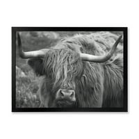 Дизайнарт 'Близък План На Шотландската Крава На Моурланд' Ферма Рамка Арт Принт